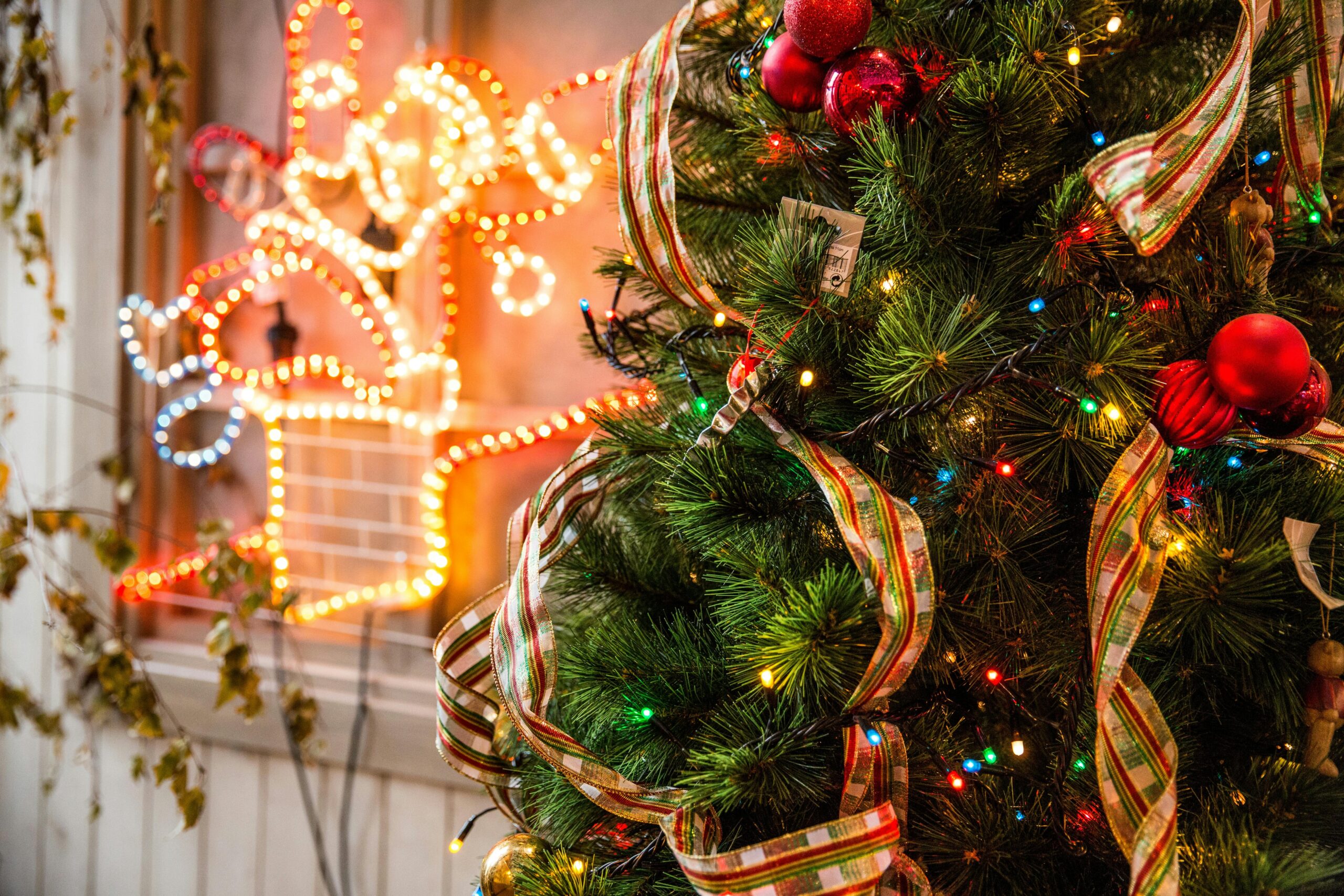 pexels-ifreestock-688573 A beautifully decorated Christmas tree adorned with colorful lights and festive ornaments.