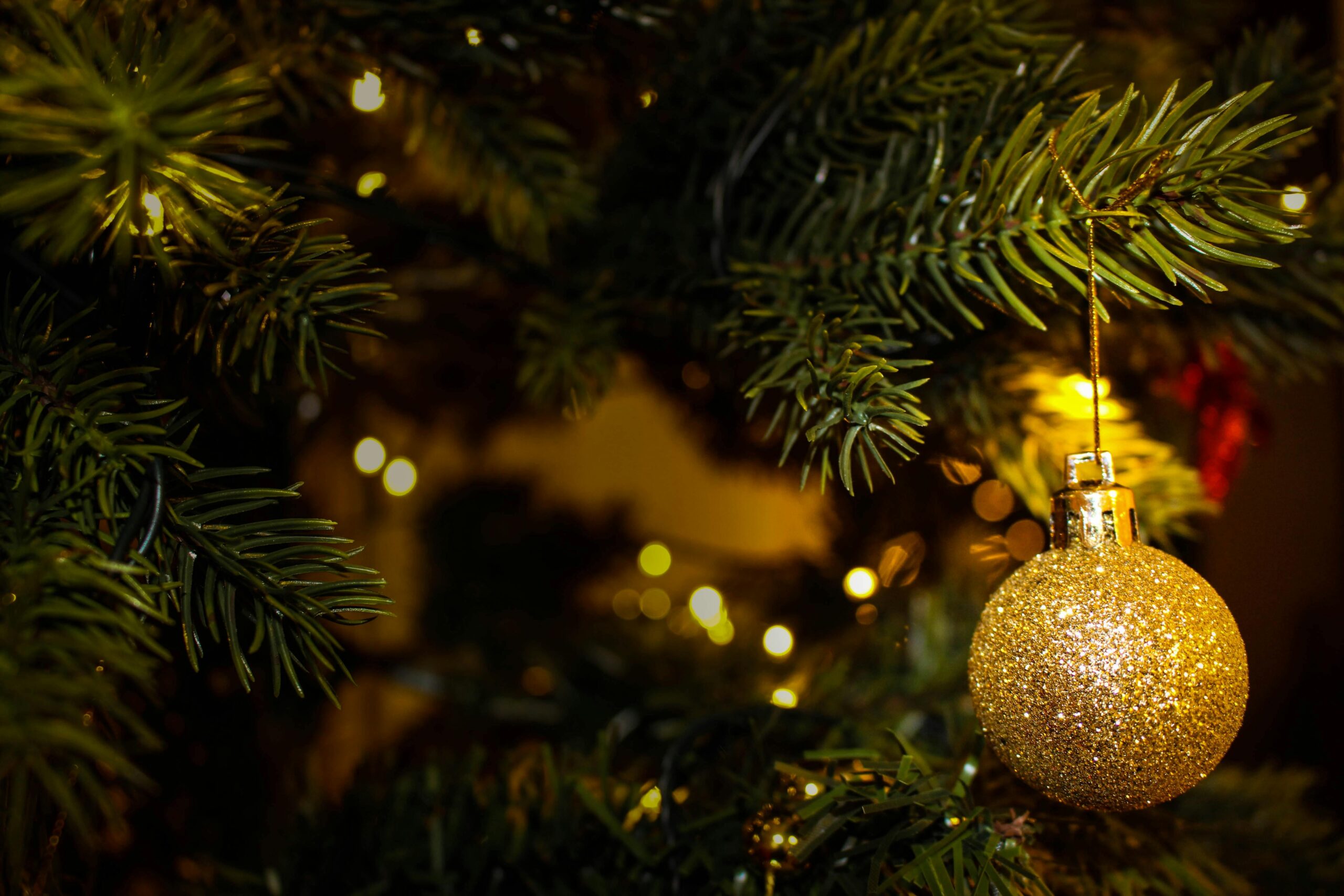 pexels-valeria-vinnik-51738-246351 Close-up of a Christmas tree with glowing lights and a sparkly gold ornament. The warm, festive ambiance evokes joy and celebration.