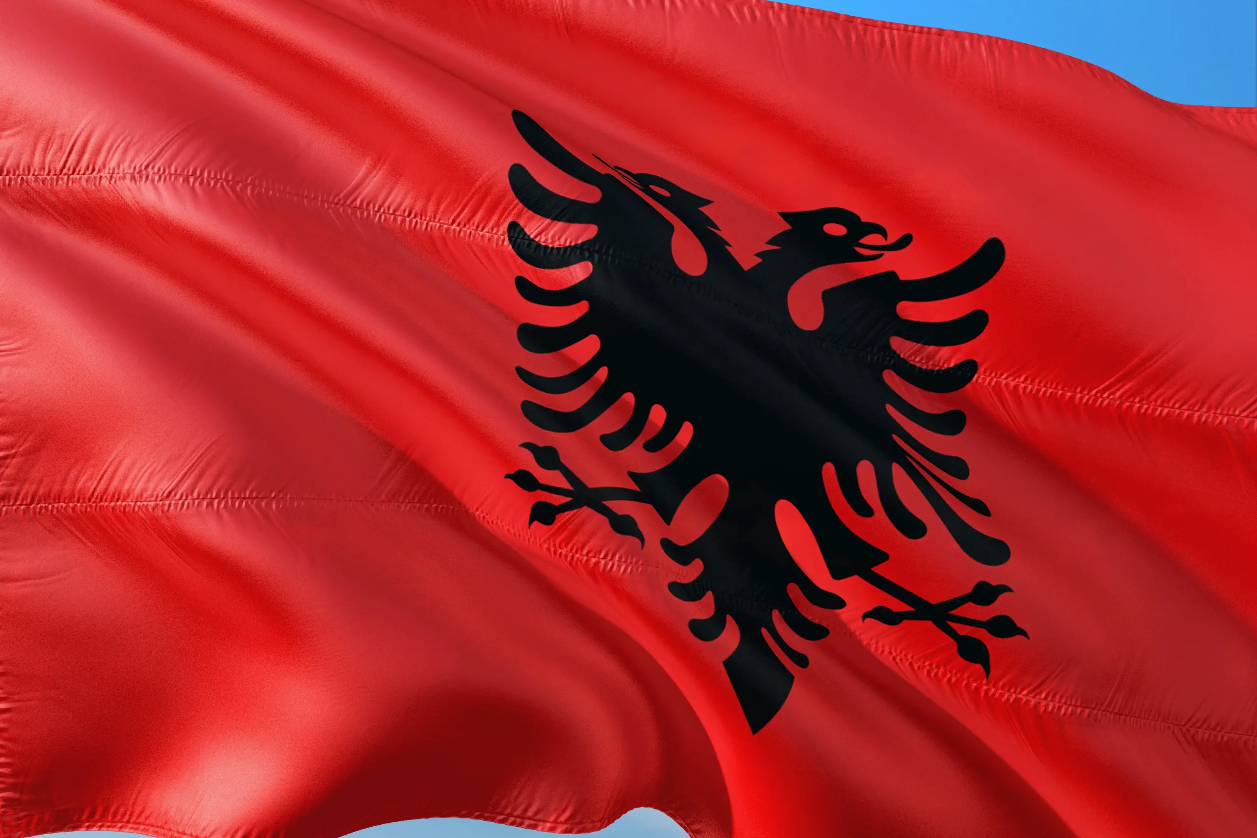 Albania national flag with red background and black double-headed eagle